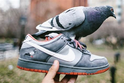 nike dunks pigeon|nike sb dunk low nyc pigeon.